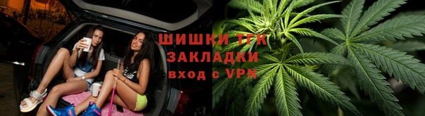 дмт Мегион