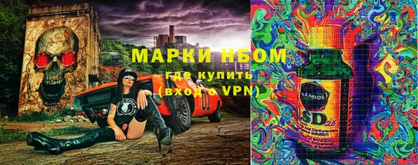 молекула духа Майский