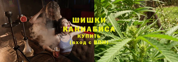 молекула духа Майский