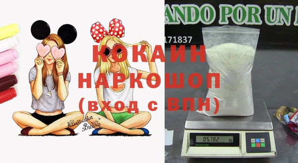 стафф Магадан