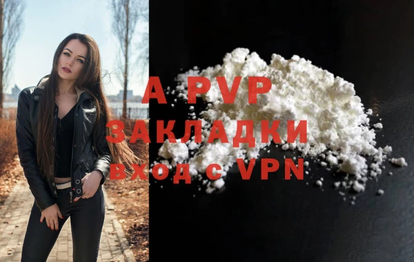 стафф Магадан