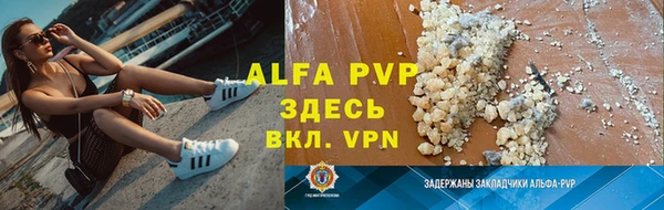 дмт Мегион