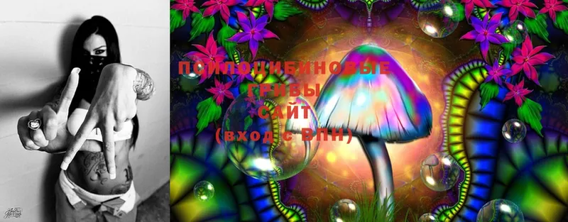 МЕГА ССЫЛКА  Микунь  Галлюциногенные грибы Cubensis 