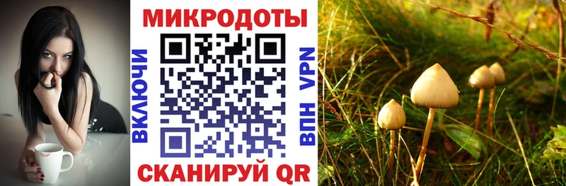 гидра ONION  Микунь  Псилоцибиновые грибы Psilocybe 